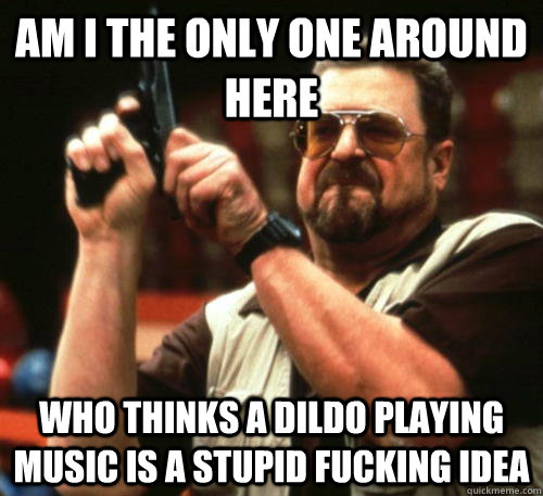 Am i the only one around here who thinks a dildo playing music is a stupid fucking idea  Am I The Only One Around Here