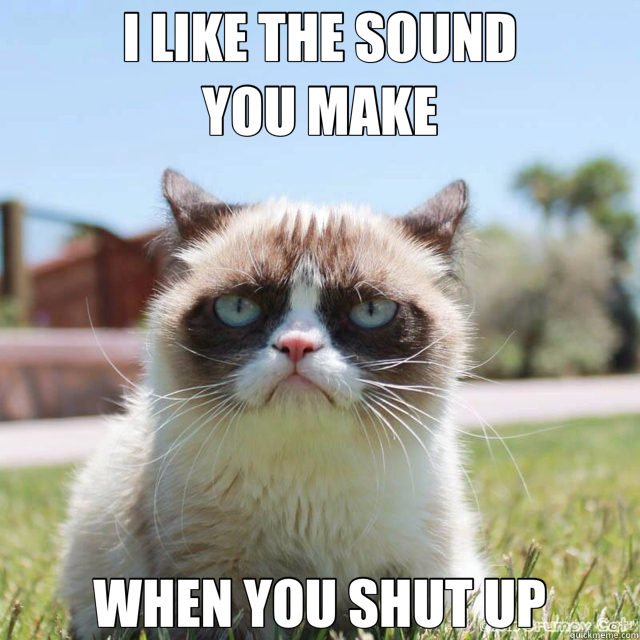 I LIKE THE SOUND               YOU MAKE WHEN YOU SHUT UP  