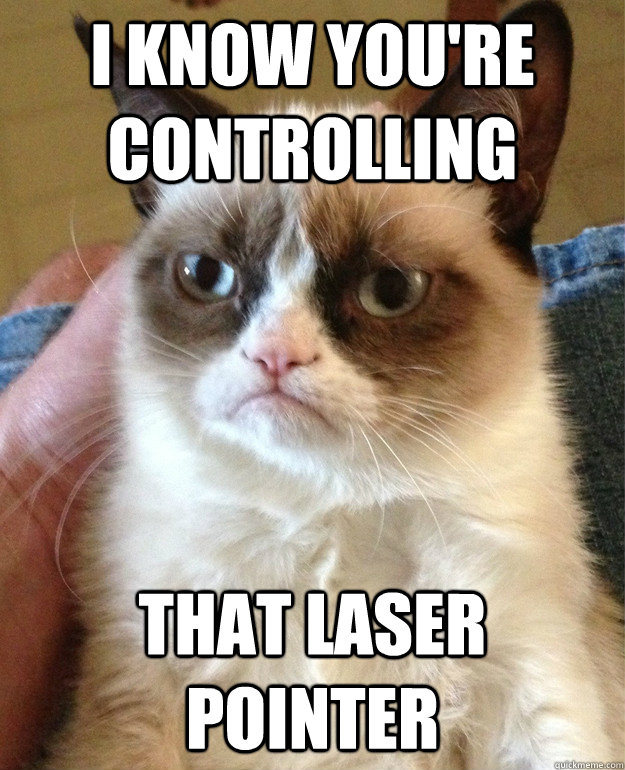 I know you're controlling That laser pointer - I know you're controlling That laser pointer  Misc