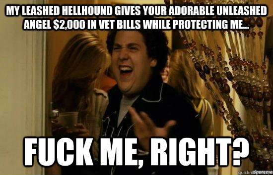 My leashed hellhound gives your adorable unleashed angel $2,000 in vet bills while protecting me... fuck me, right?  fuckmeright
