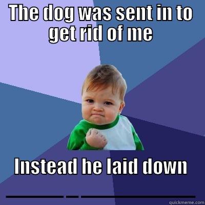 THE DOG WAS SENT IN TO GET RID OF ME INSTEAD HE LAID DOWN _____ _ __________ Success Kid