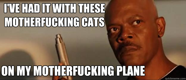 I've had it with these motherfucking cats on my motherfucking plane  Snakes on a Plane Sammy Jackson