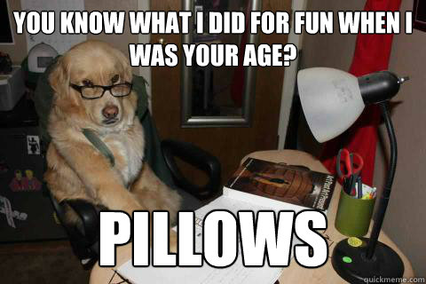 You know what I did for fun when I was your age? PILLOWS - You know what I did for fun when I was your age? PILLOWS  Disapproving Dad Dog