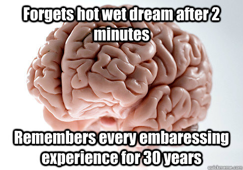 Forgets hot wet dream after 2 minutes Remembers every embaressing experience for 30 years  Scumbag Brain