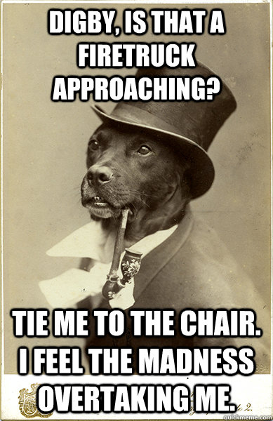 Digby, is that a firetruck approaching? Tie me to the chair.  I feel the madness overtaking me.  Old Money Dog