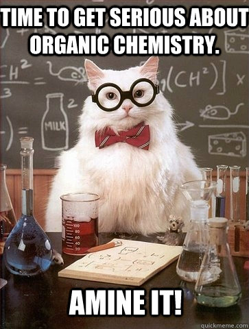 Time to get serious about organic chemistry. AMINE IT! - Time to get serious about organic chemistry. AMINE IT!  Chemistry Cat