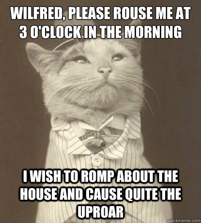 Wilfred, please rouse me at 3 o'clock in the morning I wish to romp about the house and cause quite the uproar - Wilfred, please rouse me at 3 o'clock in the morning I wish to romp about the house and cause quite the uproar  Aristocat