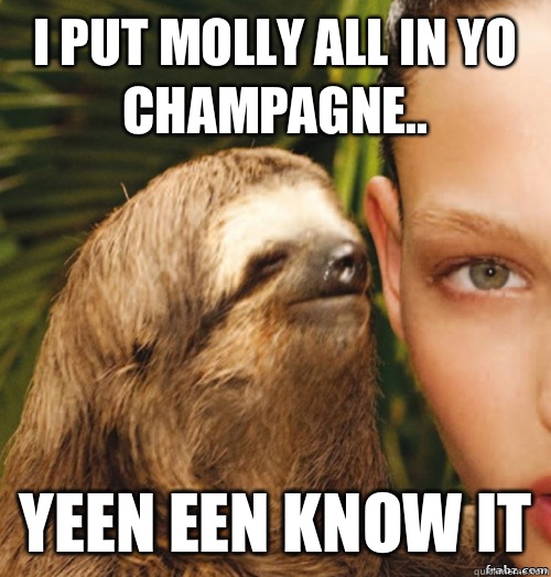 I put Molly all in yo champagne.. yeen een know it  rape sloth