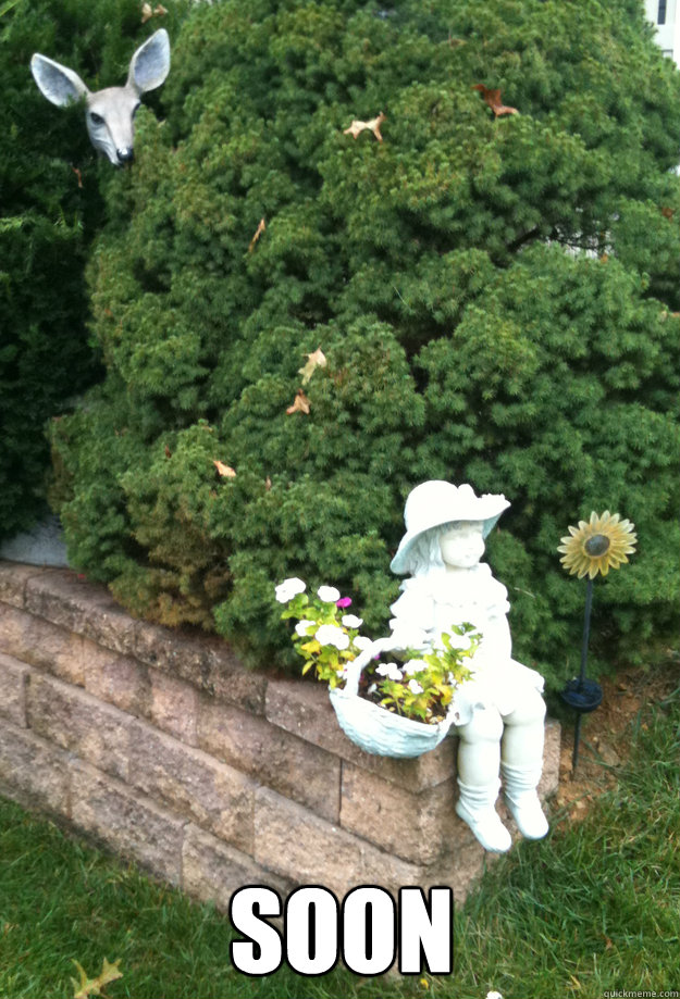 SOON - SOON  Creeper Deer