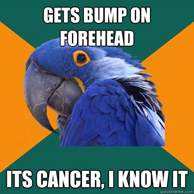 gets bump on forehead its cancer, I know it  Paranoid Parrot