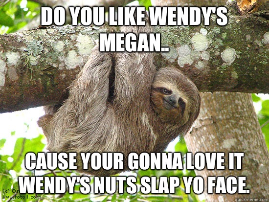 Do you like Wendy's Megan.. Cause your gonna love it Wendy's nuts slap yo face.   sloth meme