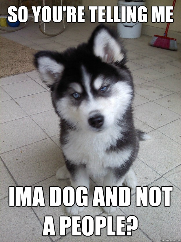 so you're telling me Ima dog and not a people? - so you're telling me Ima dog and not a people?  Skeptical Husky Puppy