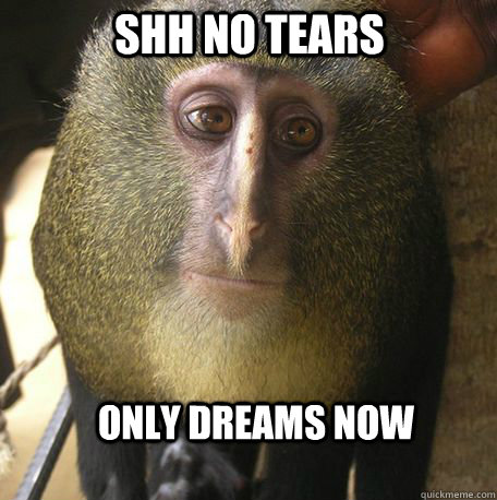 Shh no tears Only dreams now - Shh no tears Only dreams now  Wise Monkey