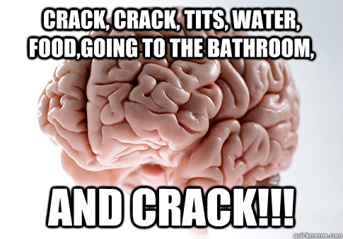 crack, crack, tits, water, food,going to the bathroom, and crack!!!  Scumbag Brain