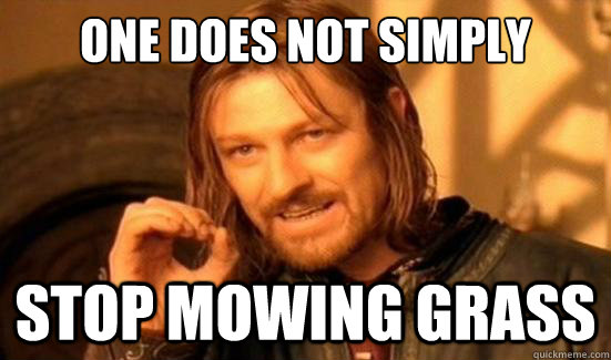 One Does Not Simply stop mowing grass  Boromir