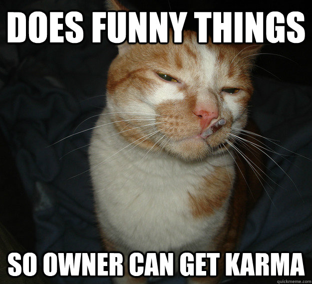 does funny things so owner can get karma  