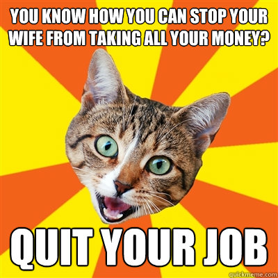 you know how you can stop your wife from taking all your money? Quit your Job  Bad Advice Cat