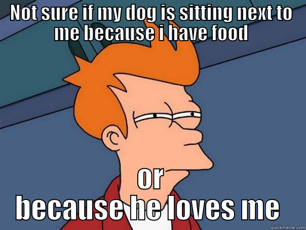 NOT SURE IF MY DOG IS SITTING NEXT TO ME BECAUSE I HAVE FOOD OR BECAUSE HE LOVES ME  Futurama Fry