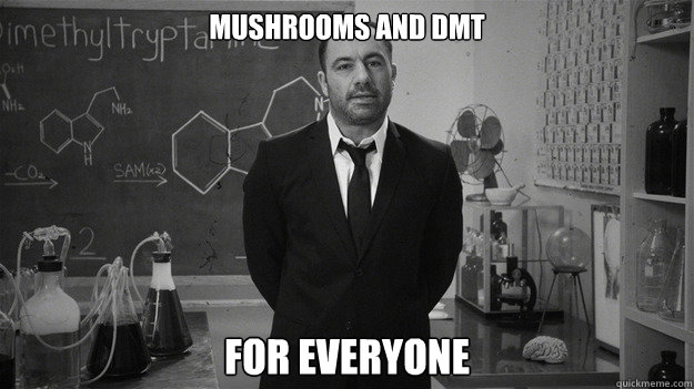 Mushrooms and DMT For Everyone  Joe Rogan