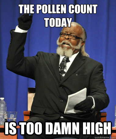 The pollen count today is too damn high  The Rent Is Too Damn High