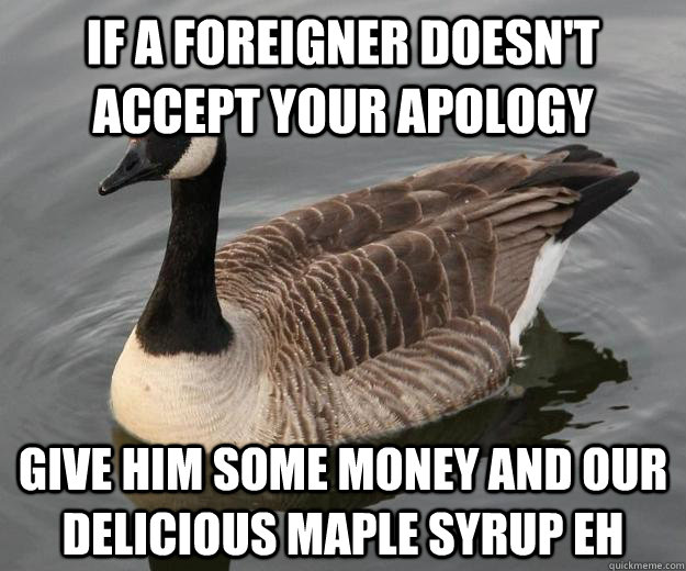 If a foreigner doesn't accept your apology Give him some money and our delicious maple syrup eh  Actual Advice Canadian Goose