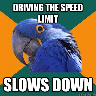 Driving the speed limit slows down  Paranoid Parrot