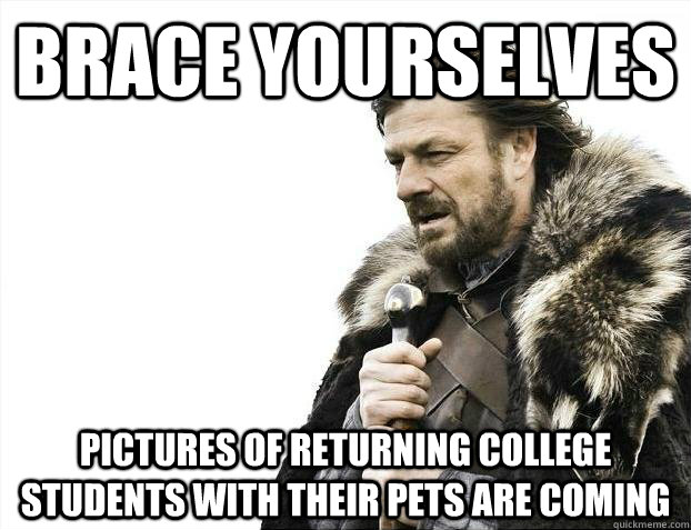 Brace yourselves Pictures of returning college students with their pets are coming - Brace yourselves Pictures of returning college students with their pets are coming  Misc