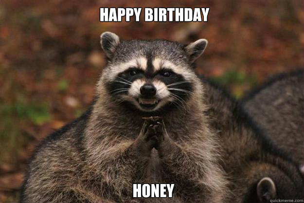  happy birthday  honey -  happy birthday  honey  Evil Plotting Raccoon