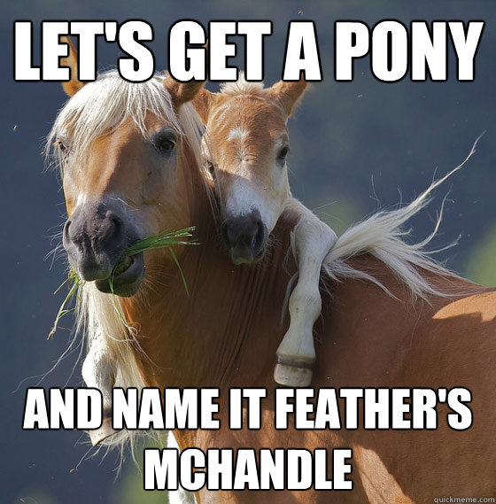 Let's Get a POny And Name it Feather's McHandle  