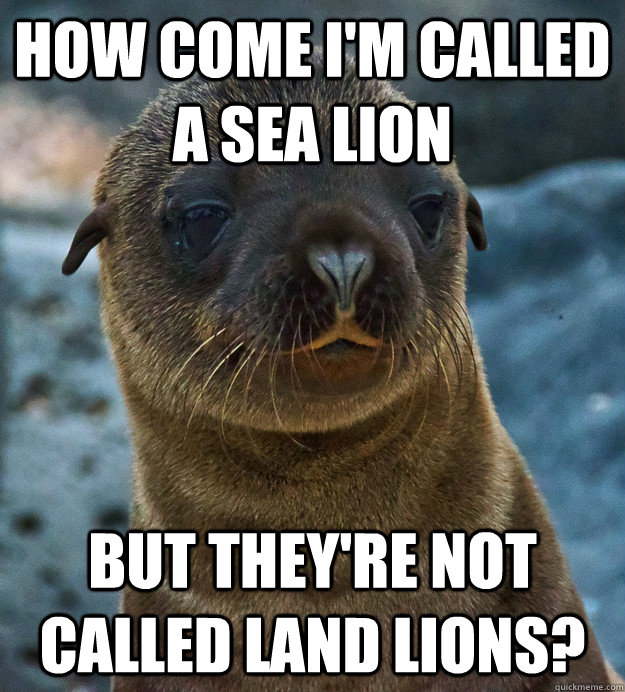 How come I'm called a sea lion but they're not called land lions?  Linguistically Oppressed Sea Lion
