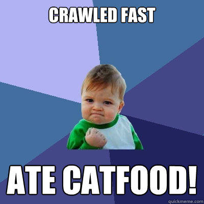 Crawled fast Ate catfood!  Success Kid