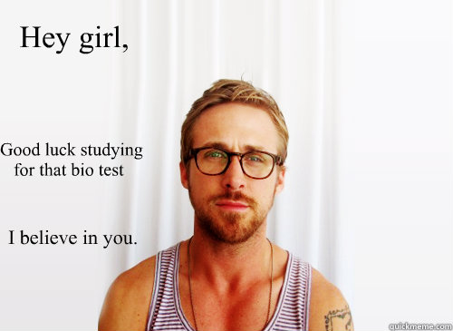 Hey girl, I believe in you. Good luck studying
   for that bio test - Hey girl, I believe in you. Good luck studying
   for that bio test  Ryan Gosling Heisbenberg