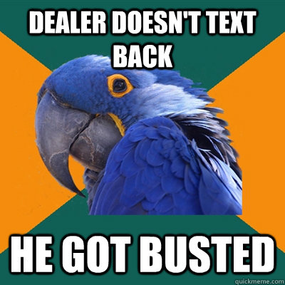 dealer doesn't text back he got busted  Paranoid Parrot
