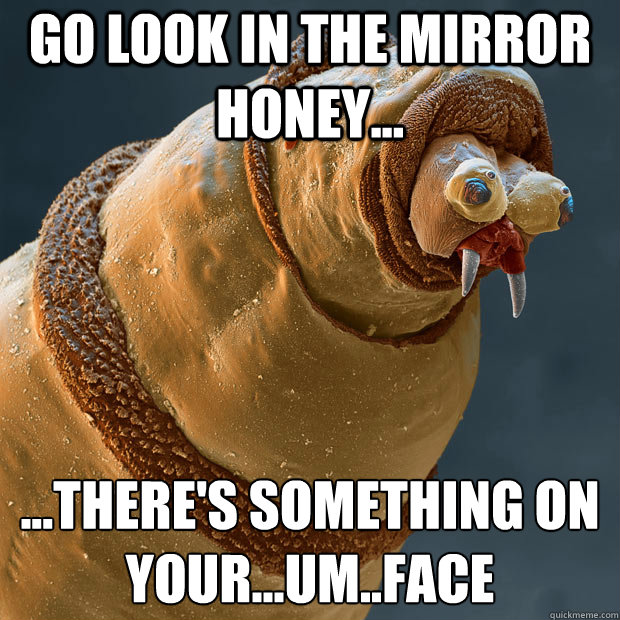 Go look in the mirror honey... ...there's something on your...um..face  Derp larva