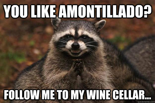 You like Amontillado? Follow me to my wine cellar...  Evil Plotting Raccoon