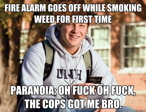 fire alarm goes off while smoking weed for first time PARAnoia: oh fuck oh fuck, the cops got me bro.  College Freshman