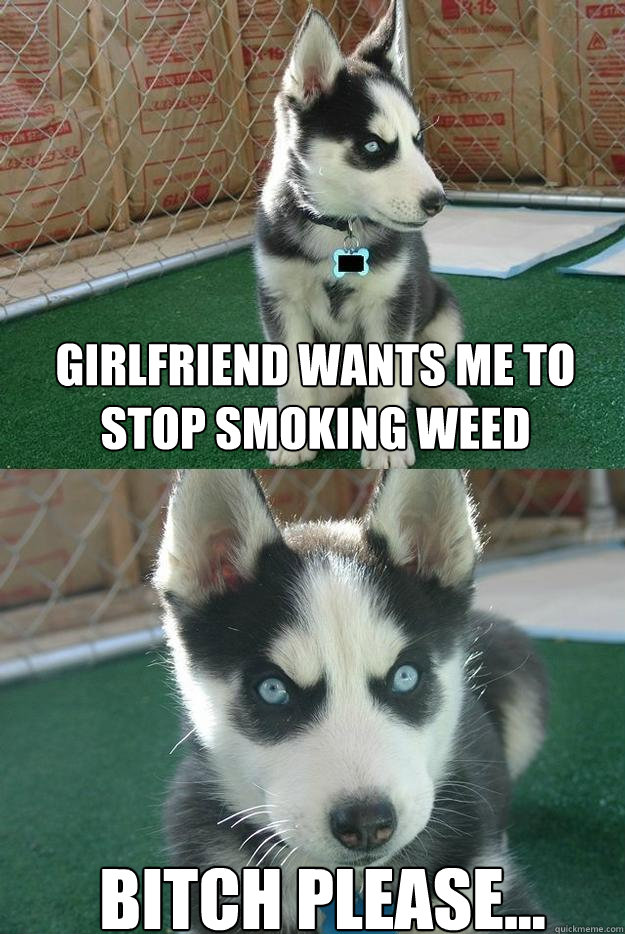 Girlfriend wants me to stop smoking weed BITCH please...  Insanity puppy