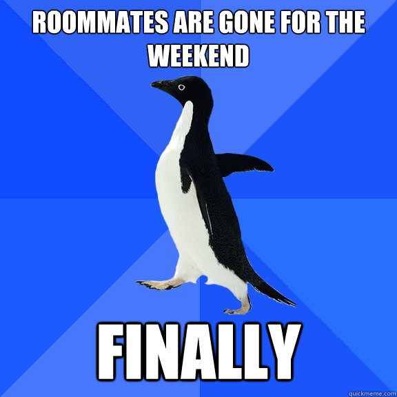 roommates are gone for the weekend finally  Socially Awkward Penguin