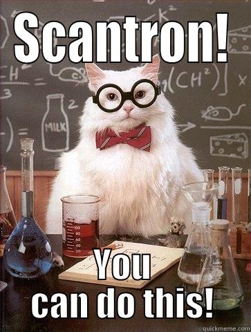 SCANTRON! YOU CAN DO THIS! Chemistry Cat