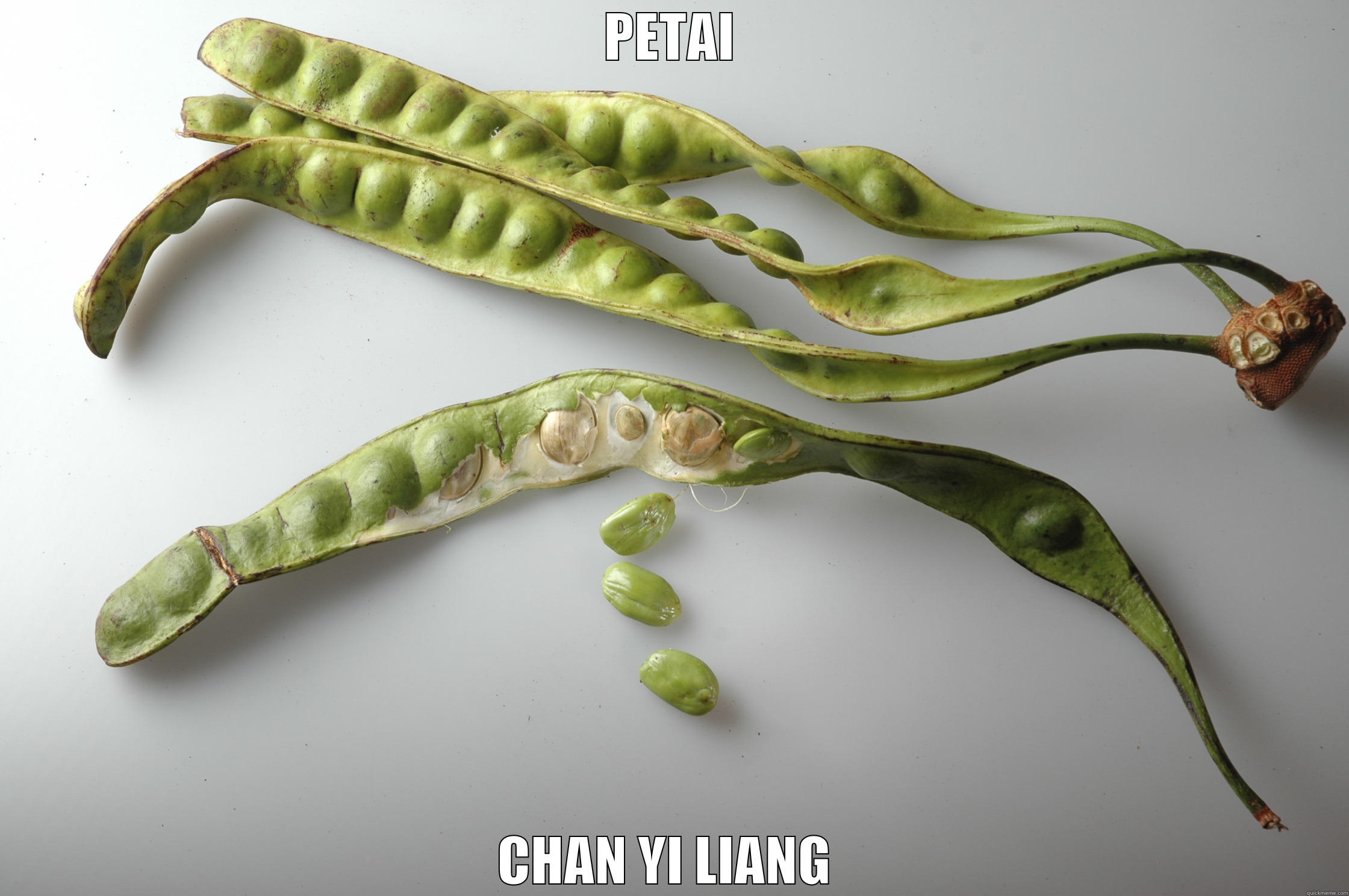 PETAI CHAN YI LIANG  Misc