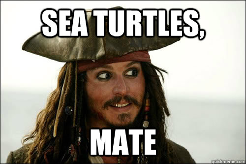 Sea Turtles, mate  Jack Sparrow