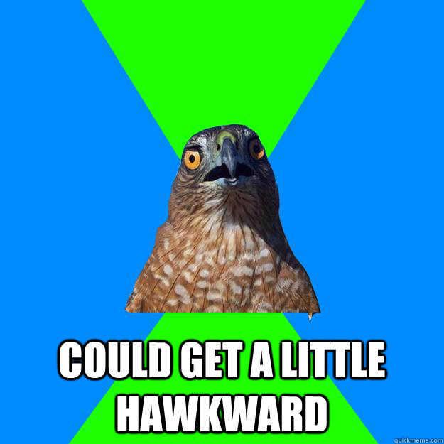  could get a little hawkward  Hawkward