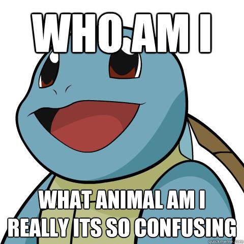 who am i what animal am i really its so confusing   Squirtle