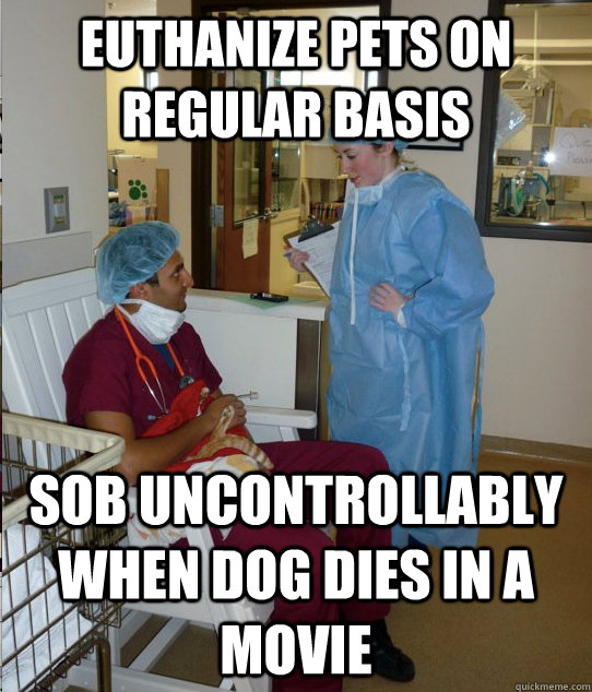Euthanize pets on regular basis sob uncontrollably  when dog dies in a movie  Overworked Veterinary Student