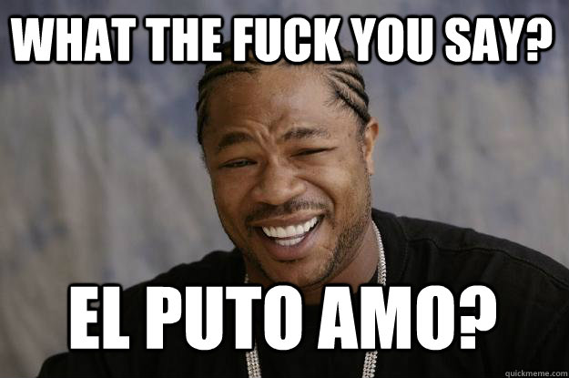 WHAT THE FUCK YOU SAY? EL PUTO AMO?  Xzibit meme