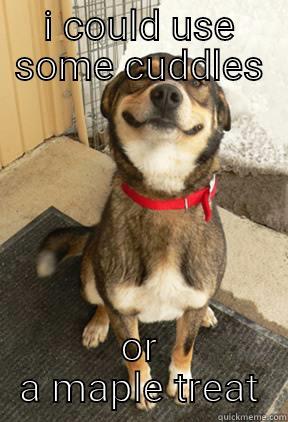 I COULD USE SOME CUDDLES OR A MAPLE TREAT Good Dog Greg