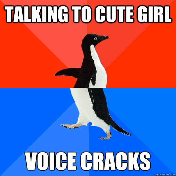 Talking to cute girl Voice cracks  Socially Awesome Awkward Penguin