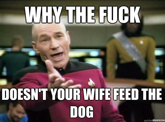 Why the fuck doesn't your wife feed the dog - Why the fuck doesn't your wife feed the dog  Misc