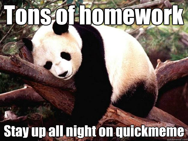 Tons of homework Stay up all night on quickmeme  Procrastination Panda