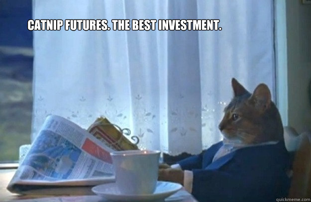 Catnip futures. THE BEST investment.  Sophisticated Cat